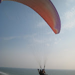 IMG_5831.JPG