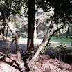 PA030005.JPG