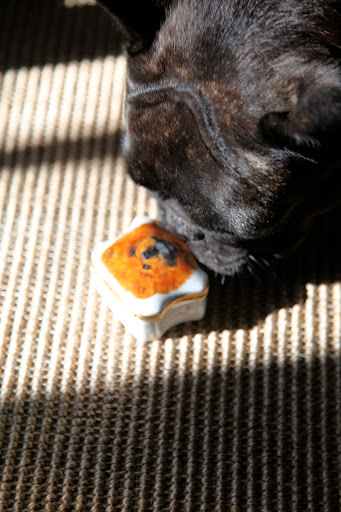 Oh my, this looks like Paw Paw.  I remember his majesty.