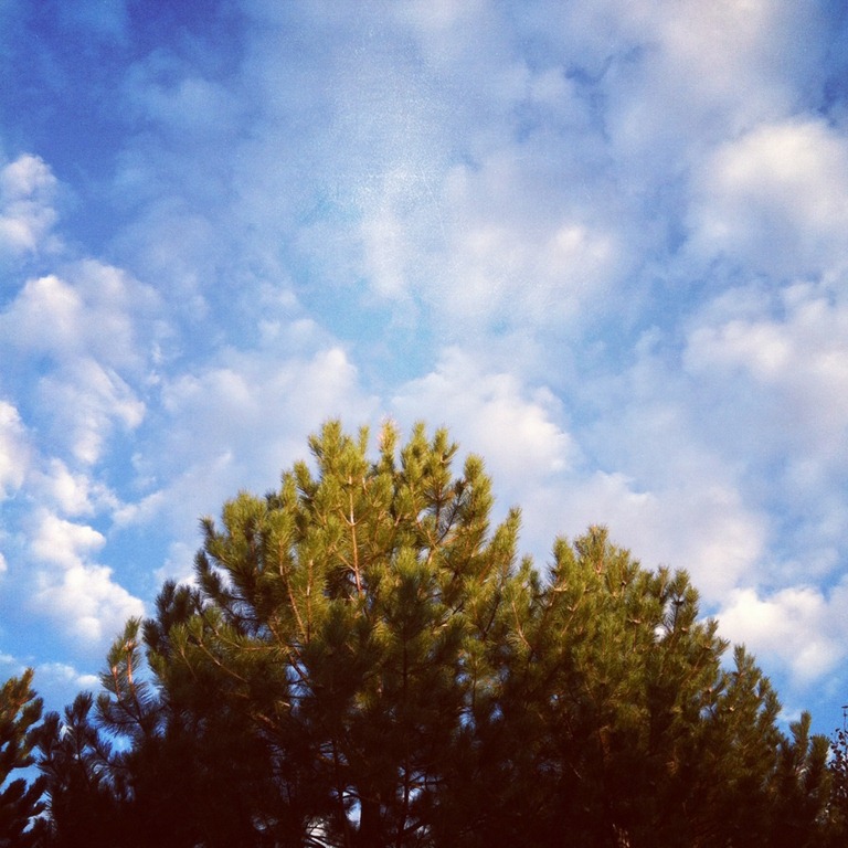 [colorado%255B4%255D.jpg]