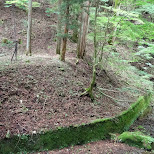 toshogu shrine in Nikko, Japan by Matt van Vuuren in Nikko, Totigi (Tochigi) , Japan