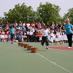 majus 614.jpg