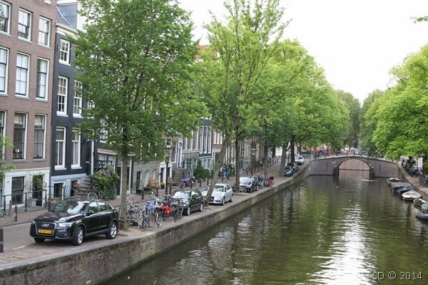IMG_7330 IMG_7330