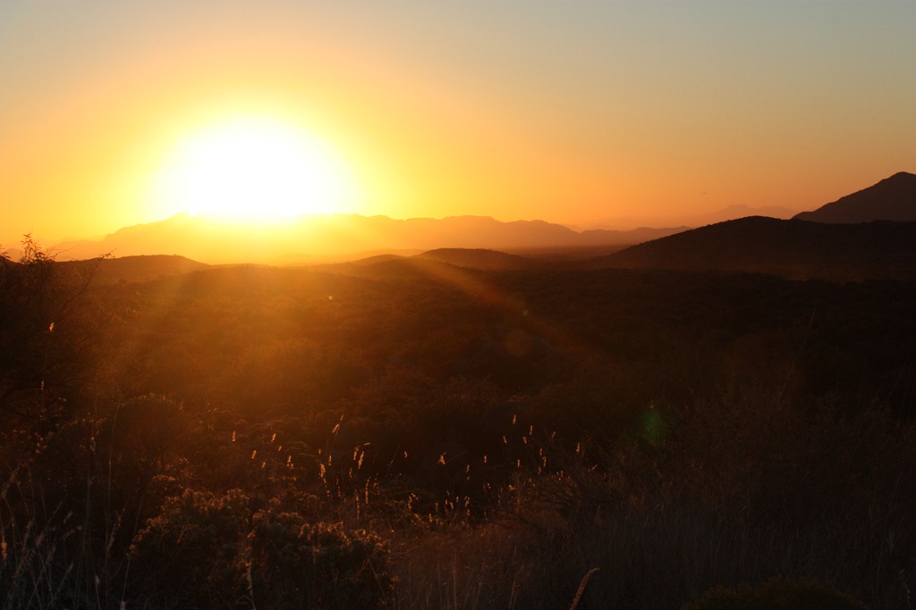 [black-hills-2615.jpg]