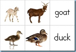 Animal match making