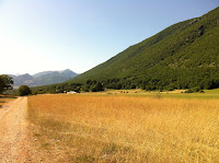 IMG_1553.JPG