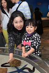 IMG_6533 IMG_6533
