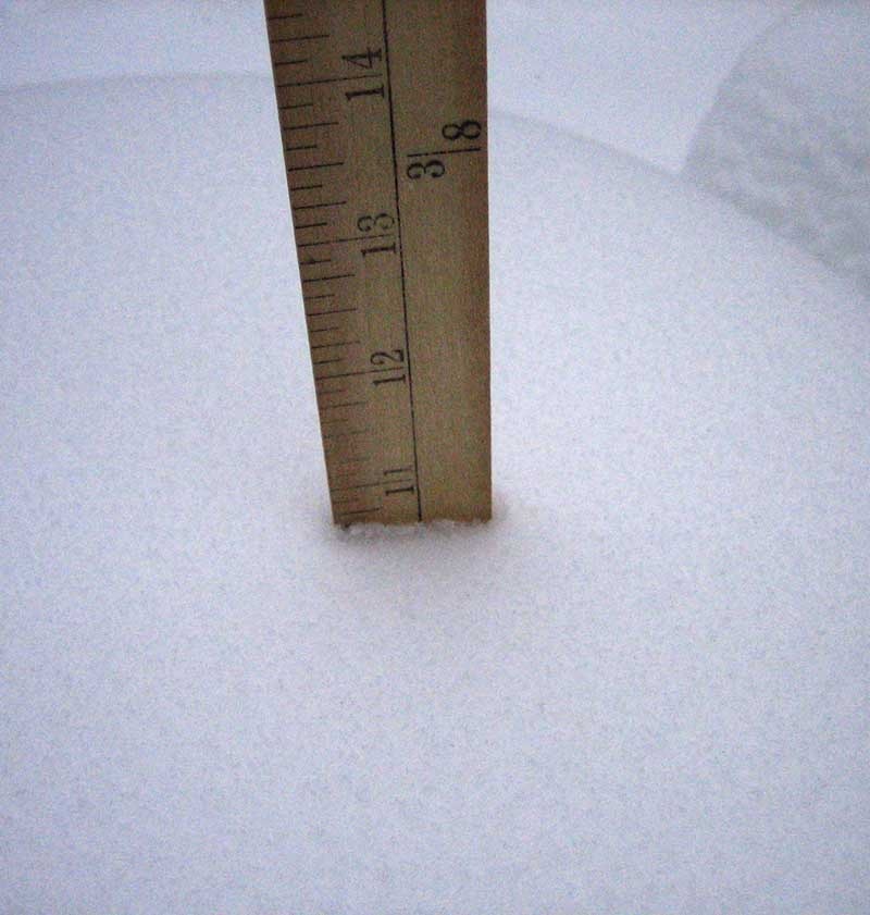 [snowstorm1201_353.jpg]
