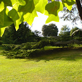 Botanical Gardens, Royal Victoria Park