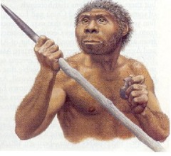 homo_erectus2