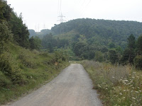 DSC08977.JPG Photo