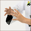 ตรีลัญจกร‏,ท่าบำรุงอวัยวะภายใน 8 ท่าพื้นฐาน