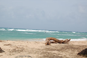 DSC_0857.JPG