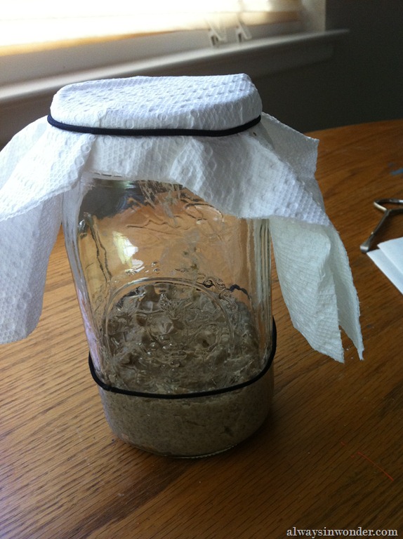 [Sourdough_Starter%2520%25282%2529%255B10%255D.jpg]