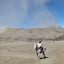 Horse rider hoping that tourists will want to climb to look in Bromo's crater