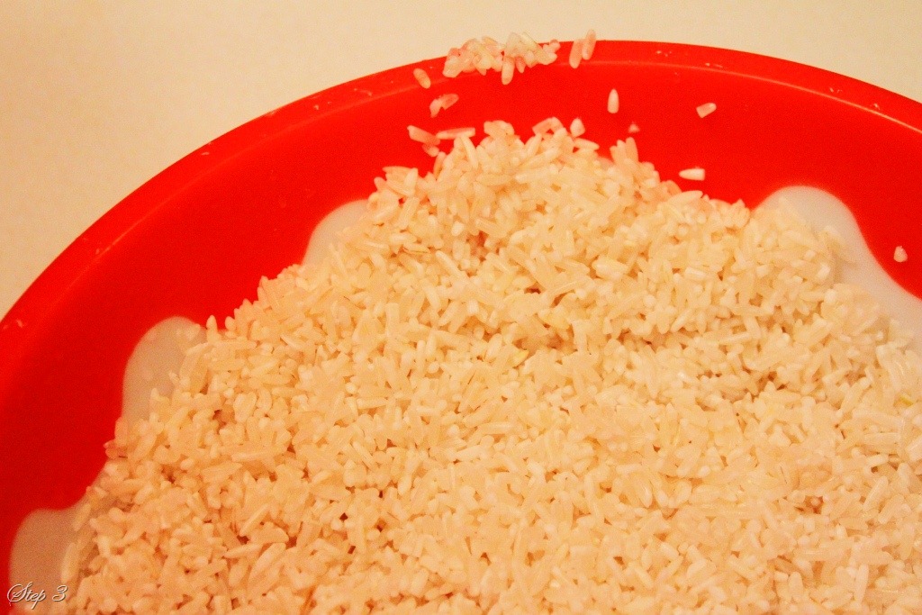 [Arroz-blanco16.jpg]