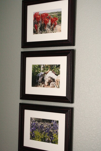 photos for sale 024