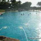DSCF0954.JPG