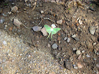 IMG_0489.JPG Photo