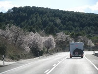 IMG_8373 IMG_8373