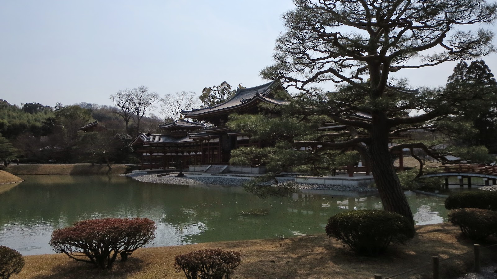 [IMG_2224%255B3%255D.jpg]
