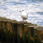 20100822_082_small.JPG