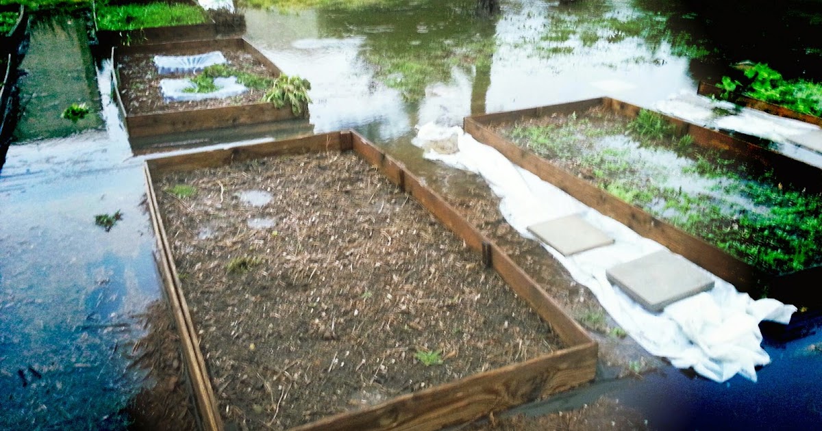 One of the advantages of raised garden beds is drainage
