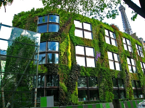 vertical garden by patrick blanc 4