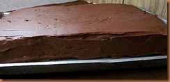 IMG_2248-1