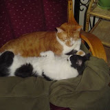 Tink and Charlie.