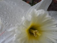 DSC03054.JPG