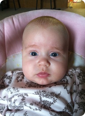 IMG_0686 IMG_0686