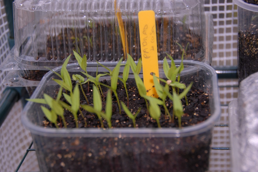 [DSC_0030%255B7%255D.jpg]