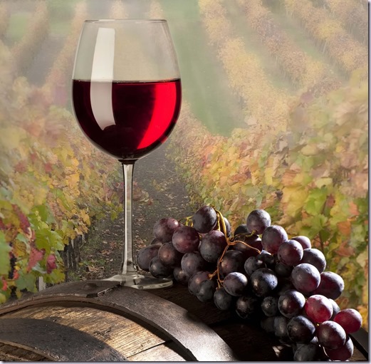 vinho-vinho-e-delicias vinho-vinho-e-delicias
