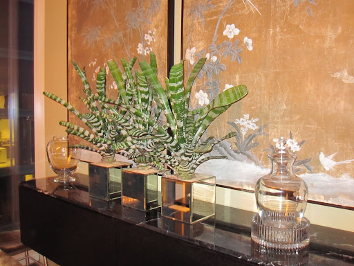 I moved my Bromeliads from my living room to the dining room where I will be placing extra cocktail and champagne glasses. I moved my Bromeliads from my living room to the dining room where I will be placing extra cocktail and champagne glasses.