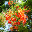 Zoo-2yr-North Shore-Kayaking 039.JPG