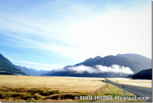 milford sound