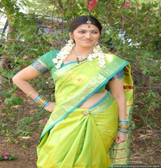 Keerthi Naidu in Silk Saree Stills