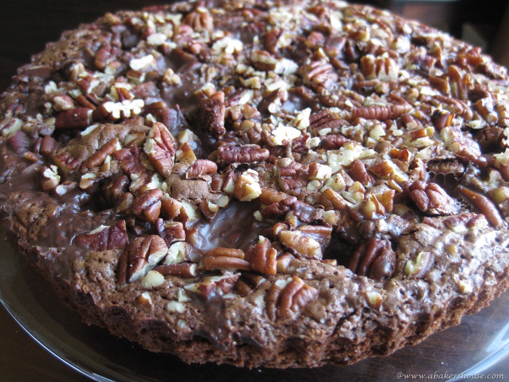 [the%2520brownie%2520puddle%255B8%255D.jpg]