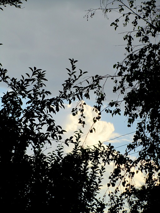 IMG_6402 IMG_6402