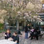 DSC01371.JPG