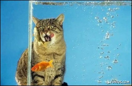 pix_touch_humor_14