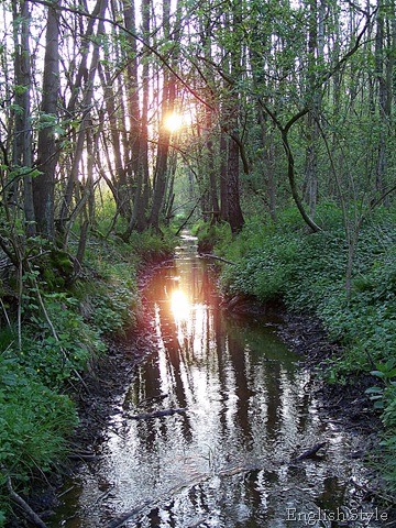 [102_15053.jpg]