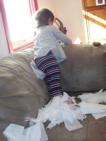 [Cassidy%2527s%2520tissue%2520party%25205%255B3%255D.jpg]