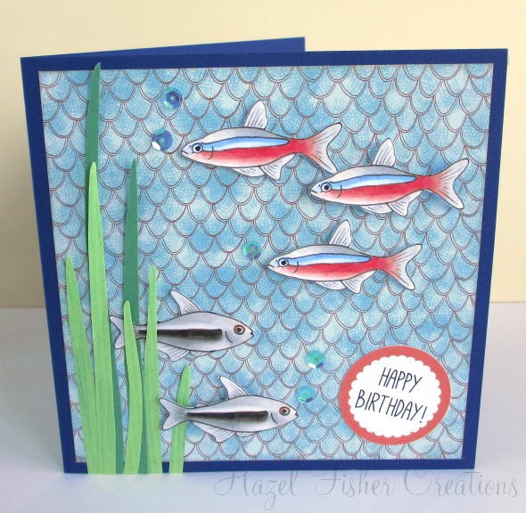 2013may01 handmade fish aquarium birthday card 2013may01 handmade fish aquarium birthday card