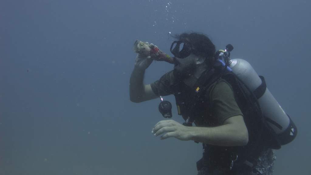 [IMG_3021%255B3%255D.jpg]