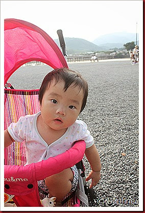 IMG_5077 IMG_5077