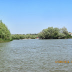 IMG_7709.JPG