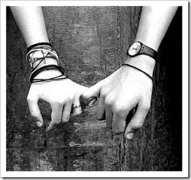 amor 17 amor 17