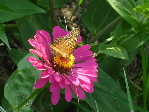 P1120274